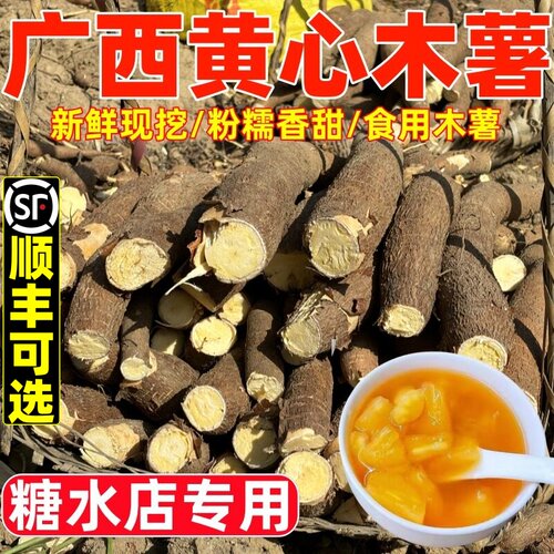 广西黄心木薯新鲜当季木薯羹糖水