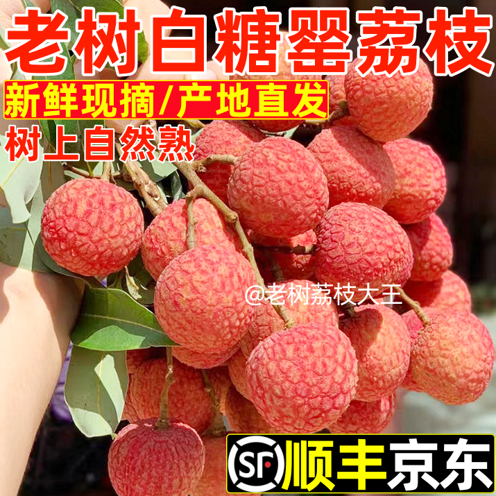 白糖罂荔枝新鲜现摘广西灵山妃子5笑当季农家老树鲜荔枝时令水果