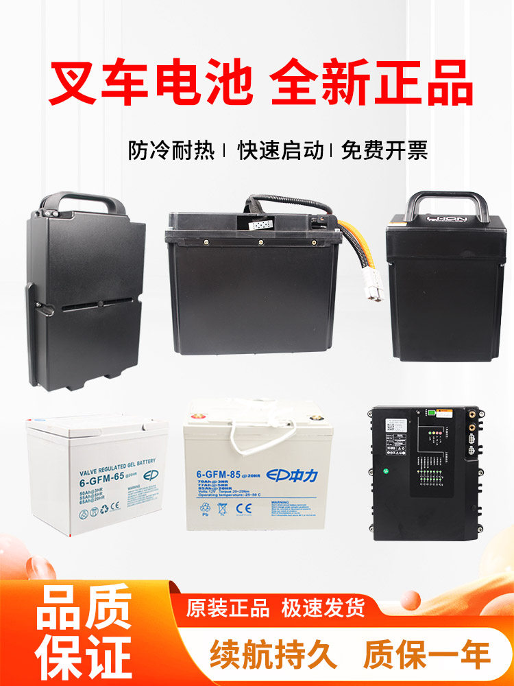 Zhongli Electric Forklift Battery Lida Heli Xiao Jingang Ris Battery Hang Fork Tianneng 12V48v Lithium Battery