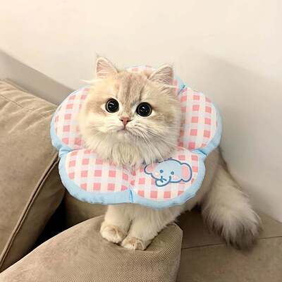 伊丽莎白圈软圈猫狗头套防咬狗狗防舔神器猫咪绝育项圈宠物脖圈