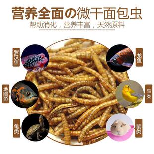 面包虫龙鱼饲料血鹦鹉鱼粮银龙鱼罗汉发财热带鱼鱼食虾干鱼饲