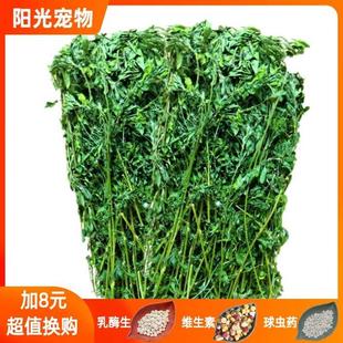 兔子紫花苜蓿草干草幼兔粮新鲜优质 龙猫垂耳兔草兔粮豚鼠饲料