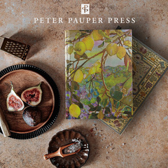 美国Peter Pauper Press复古精装A5笔记本精美高档送礼物记事本