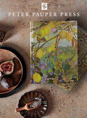 美国Peter Pauper Press复古精装A5笔记本精美高档送礼物记事本