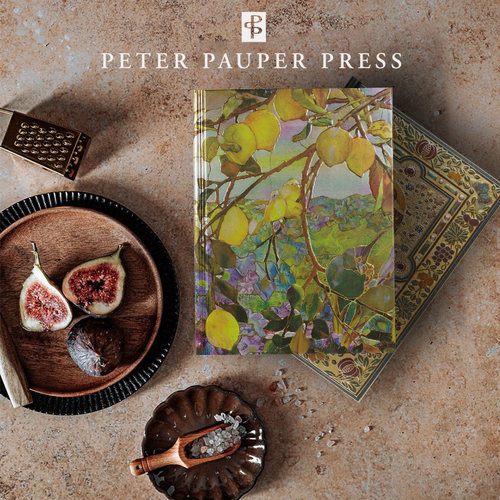 美国Peter Pauper Press复古精装A5笔记本精美高档送礼物记事本