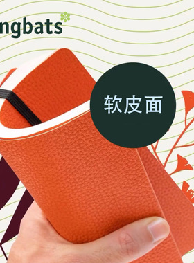 现货进口英国Dingbats软皮面A5笔记本无酸纸钢笔书写商务记事本子