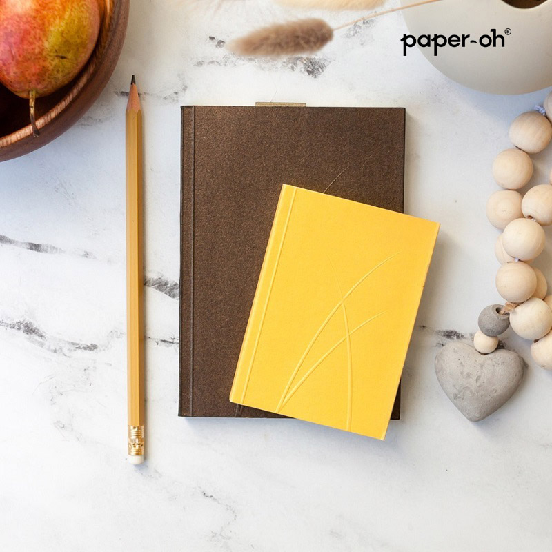 paperblanks副牌简约创意笔记本