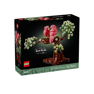 乐高创意IDESA系列21365爱情鸟男女孩益智拼搭积木玩具生日礼物