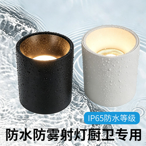 IP65防水防雾厨卫明装射灯