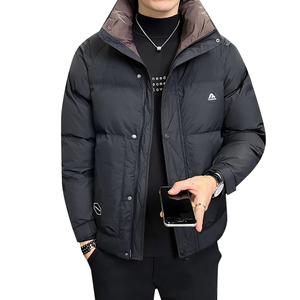 羽绒服男装立领加厚冬装外套8625-P185图片