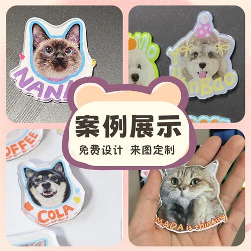 宠物头像冰箱贴定制猫猫狗狗照片透明亚克力立体磁吸贴磁铁贴定做