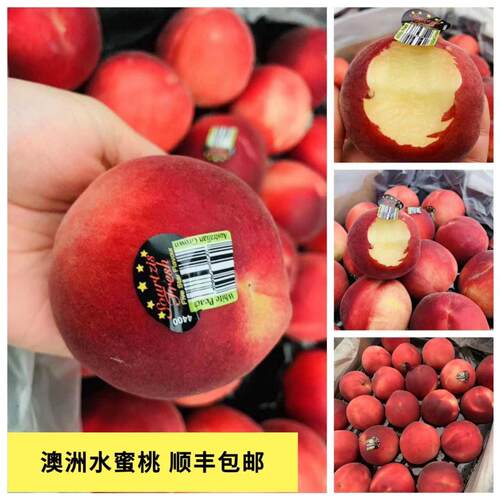 澳洲水蜜桃桃子价格 澳洲水蜜桃桃子图片 星期三