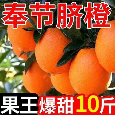 奉节脐橙重庆特产长虹纽荷尔橙子新鲜现摘10斤大果20礼盒整箱包邮