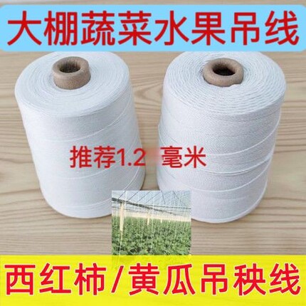 植物爬藤网拉绳辣椒番茄蔬菜瓜果细线耐磨晒抗老化农用线豆架线