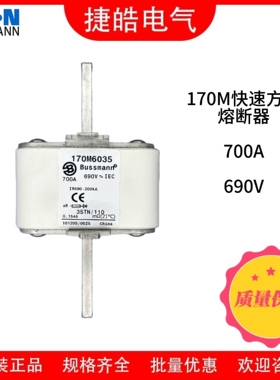 清仓甩巴斯曼Bussmann快速熔断器170M6035-700A/690V原装现货直发