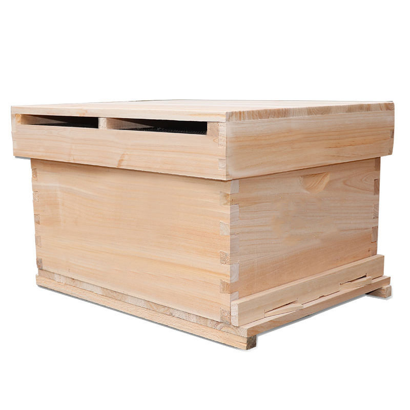 hive Dry Two-sided Polishing belt 3 logistics Nests Bee Hatin the Traditional nourishing food , Bee , Other bee  category - from Buy2taobao.com to provide professional Taobao agent buy service