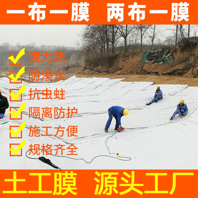 复合土工膜土工布两布一膜防渗膜
