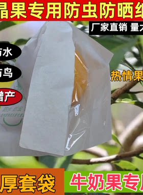 黄晶果防晒防水专用套袋