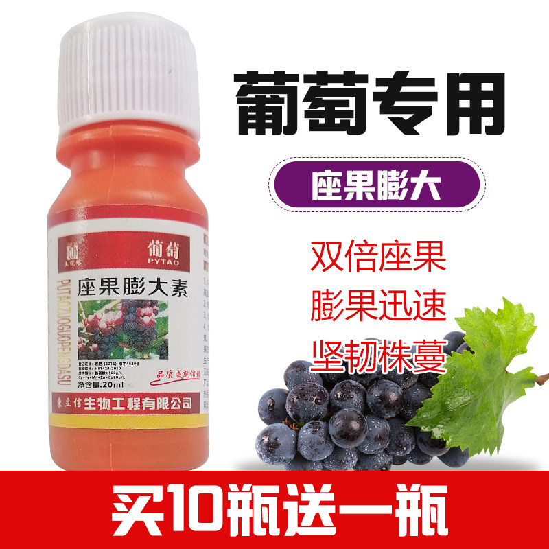 葡萄坐果膨大素膨大剂夏黑膨大技术巨峰葡萄植物生长调葡萄膨大剂
