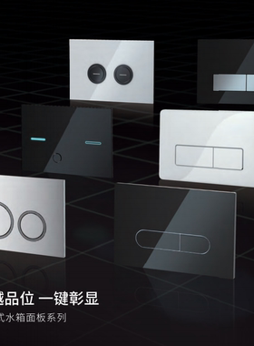 不锈钢按键枪灰色入墙式箭牌面板