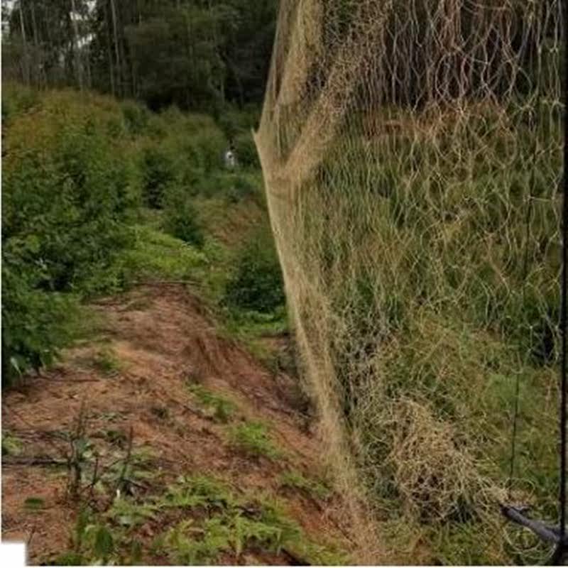 Airport Bird Anti-bird netting breed Dedicated Tire Line Chicken net rabbit net Rabbit net Arrested trawlin the Flower delivery/Flowers simulation/Plants gardening , Gardening supplies , Other Garden Supplies  category - from Buy2taobao.com to provide professional Taobao agent buy service