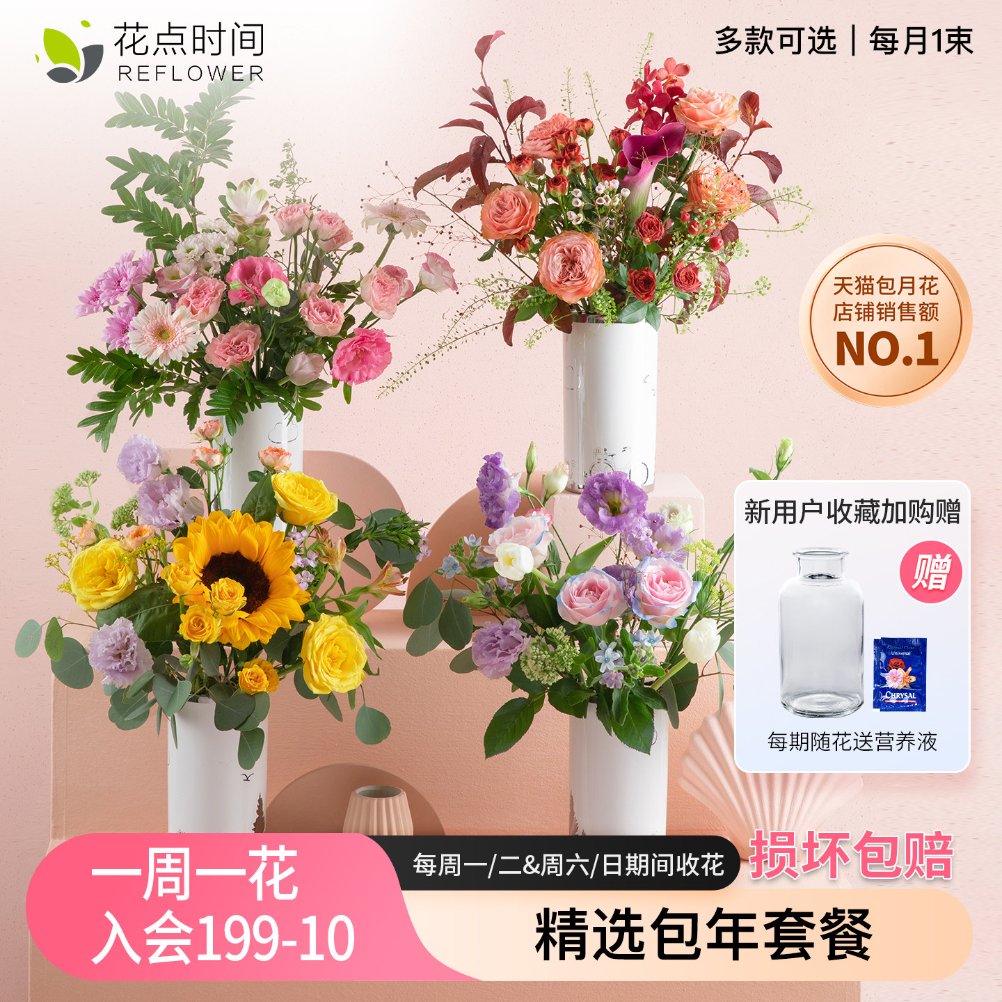 花点时间包月鲜花速递同城每月一花花卉植物室内花混搭花束鲜切花