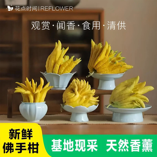 佛手柑鲜果闻香观赏摆件佛手瓜盆栽可食用大果云南培清供天然香薰