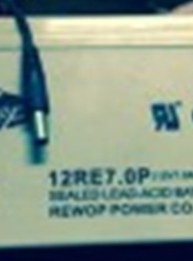 REWOP蓄电池12RE7.0P 12V7AH 信鸽比赛扫描版 12V设备仪器用电池