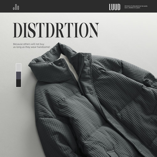 LUUD 时尚复古抗寒立领外套男新款玉米格纹理纯色休闲羽绒服男