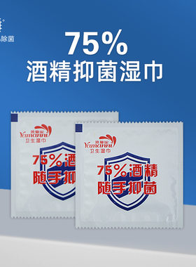 100片独立包装酒精消毒湿巾
