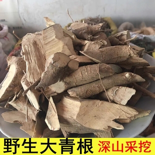 福建野生大青根中草药材 白大青臭大青叶根天然无硫纯根晒干500克
