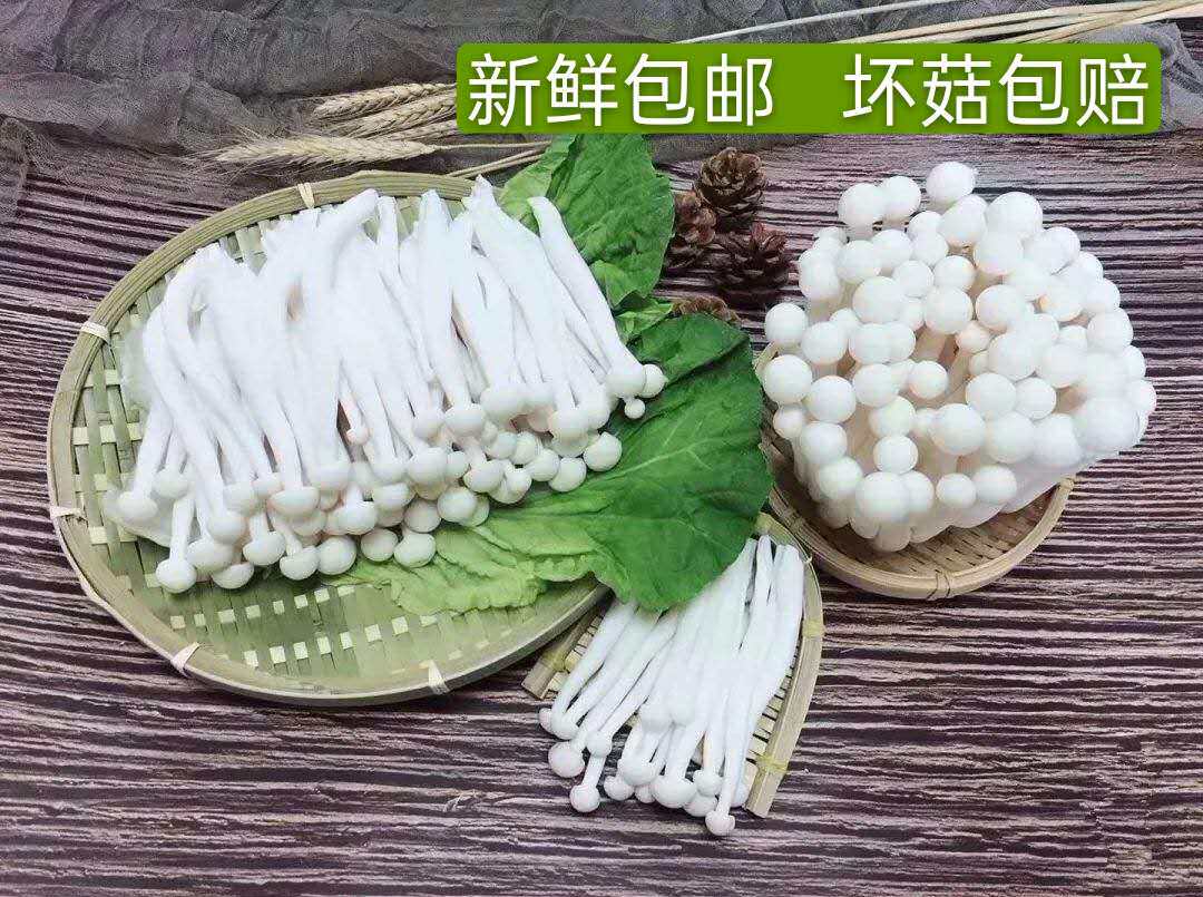 4斤新鲜白玉菇 海鲜菇蘑菇菌菇类蔬菜煲汤火锅烧烤食用蘑菇
