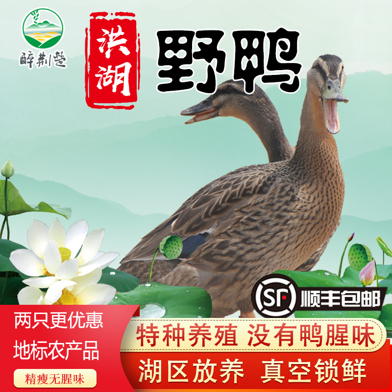 两只嫩飞鸭洪湖飞鸭绿头鸭 活体现杀冷冻 有绒毛散养整鸭农家麻鸭
