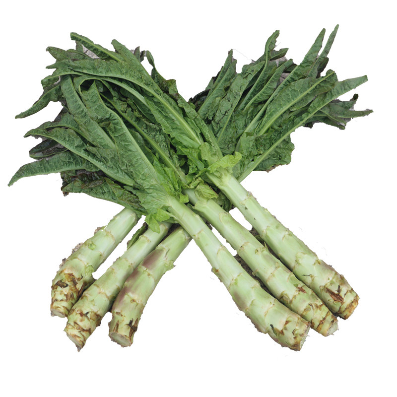 湖北洪湖新鲜红叶莴笋脆嫩爽口5斤装农家莴苣青笋蔬菜