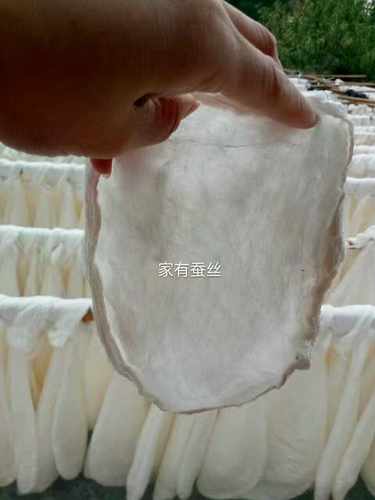 100纯手工桑蚕丝正宗被子