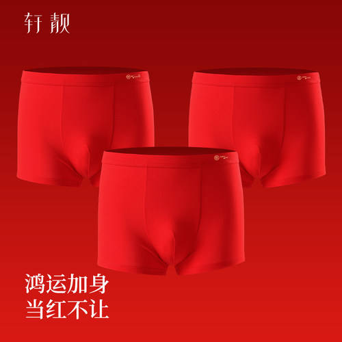 轩靓莫代尔男士平角内裤
