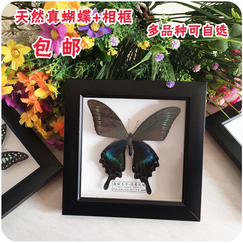昆虫标本盒子 图片 价格 多少钱 什么值得买