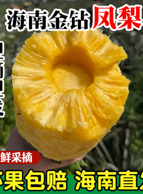 正宗海南金钻凤梨新鲜大果树上自然熟多汁超甜不需挖眼可手撕水果