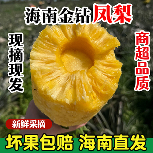 正宗海南金钻凤梨新鲜大果树上自然熟多汁超甜不需挖眼可手撕水果