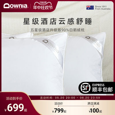 90白鹅绒羽绒枕头DOWNIA