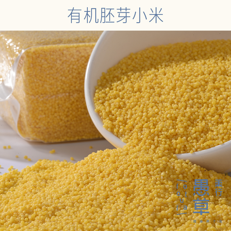 2025年新米 有机胚芽小米 米油多醇厚香滑  2.5kg+0.5kg