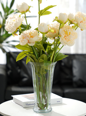 北欧风格透明喇叭口玻璃花瓶时尚家居客餐厅装饰摆设可养富贵竹