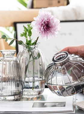 创意水晶ins小花瓶迷你透明南瓜玻璃水养植物干花插花瓶装饰摆件