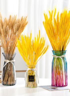 创意透明玻璃花瓶天然麦穗干花插花瓶网红客厅摆件装饰拍摄道具