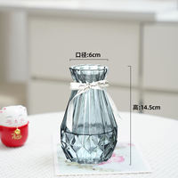 Nordic creative transparent glass vase, hydroponic pothos plant dried flower vase, fresh flower vase, living room decoration item thumbnail 6