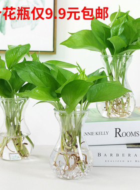 创意简约水培植物玻璃花瓶花盆透明风信子水养绿萝 观音竹插花瓶