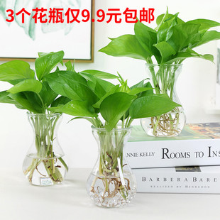 創(chuàng)意簡約水培植物玻璃花瓶花盆透明風(fēng)信子水養(yǎng)綠蘿 觀音竹插花瓶