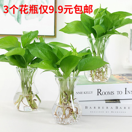 创意简约水培植物玻璃花瓶花盆透明风信子水养绿萝观音竹插花瓶2