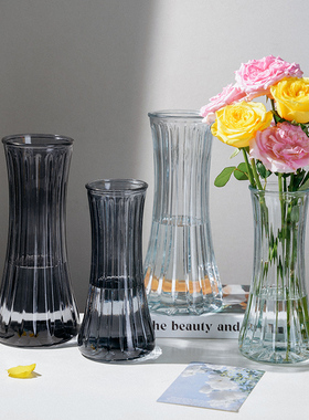 北欧风ins风玻璃花瓶网红水养鲜花仿真花餐桌插花瓶客厅装饰摆件