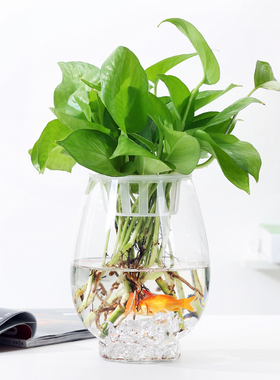 简约现代玻璃花瓶透明水培水养鲜花绿植插花瓶客厅桌面摆件鱼缸